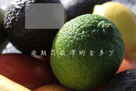 逾期罚款滞纳金多少