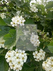 逾期罚款现金流量表 逾期罚款现金流量表