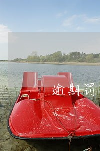 逾期罚款申请复议