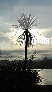 逾期罚款的标准 逾期罚款的标准