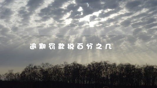 逾期罚款税百分之几