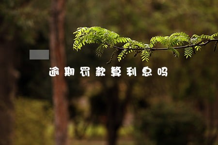 逾期罚款算利息吗
