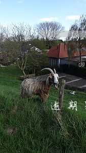逾期罚款罚息怎么算 逾期罚款罚息怎么算