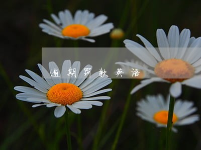 逾期罚款英语