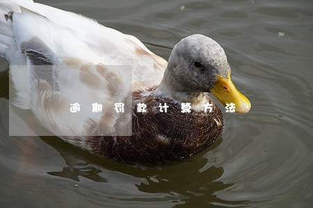 逾期罚款计算方法 逾期罚款计算方法
