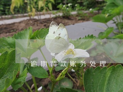 逾期罚款账务处理 逾期罚款账务处理