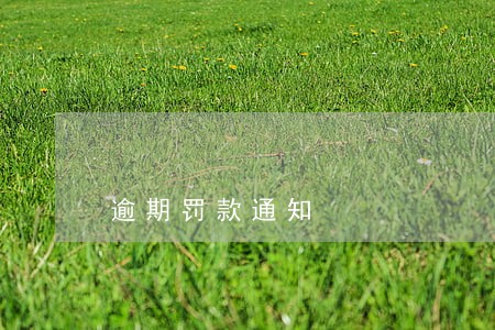逾期罚款通知