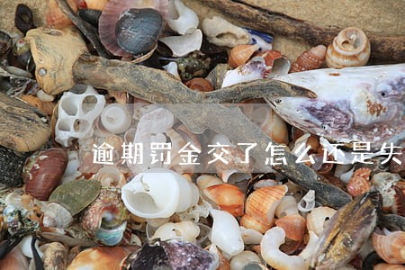 逾期罚金交了怎么还是失信人员 逾期罚金交了怎么还是失信人员