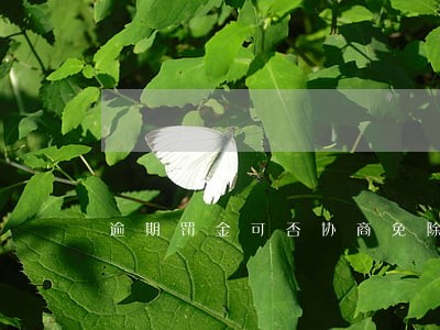 逾期罚金可否协商免除 逾期罚金可否协商免除