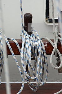逾期罚金和滞纳金过高 逾期罚金和滞纳金过高