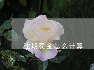 逾期罚金怎么计算