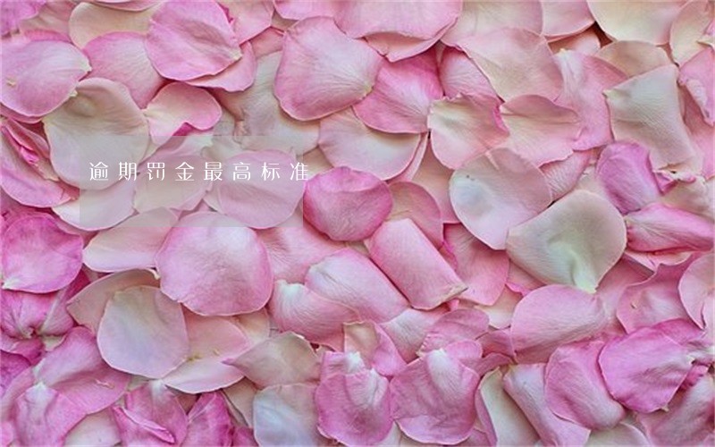 逾期罚金最高标准 逾期罚金最高标准