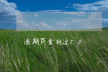 逾期罚金超过50 逾期罚金超过50