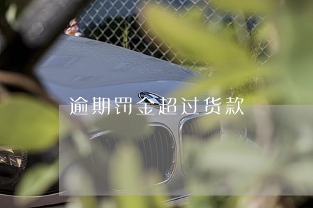 逾期罚金超过货款 逾期罚金超过货款
