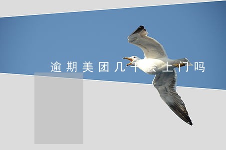 逾期美团几千会上门吗 逾期美团几千会上门吗
