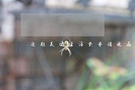 逾期美团生活费寄催收函 逾期美团生活费寄催收函