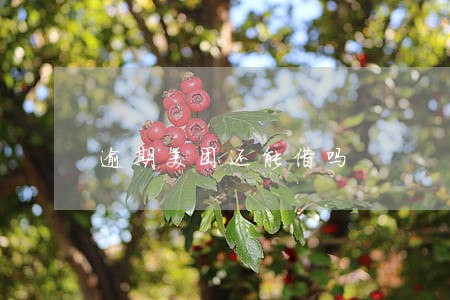 逾期美团还能借吗 逾期美团还能借吗