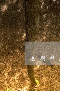 逾期群发短信犯法 逾期群发短信犯法