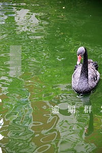 逾期群发短信能报警吗 逾期群发短信能报警吗