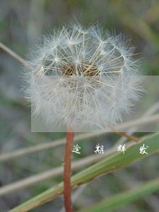 逾期群发短信软件 逾期群发短信软件
