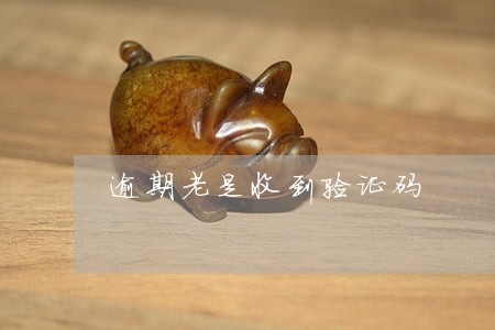 逾期老是收到验证码 逾期老是收到验证码
