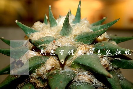 逾期老有催收函怎么拒收