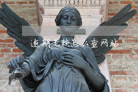 逾期老赖怎么查网站 逾期老赖怎么查网站
