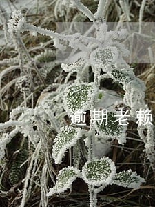 逾期老赖能跑滴滴吗 逾期老赖能跑滴滴吗