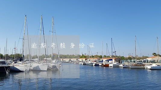 逾期老赖身份证