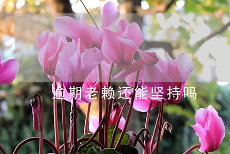逾期老赖还能坚持吗