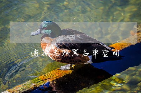 逾期老赖黑名单查询 逾期老赖黑名单查询