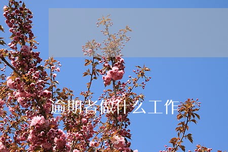 逾期者做什么工作 逾期者做什么工作