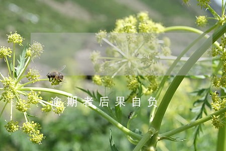 逾期者后果自负