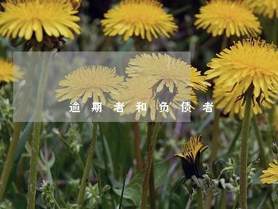 逾期者和负债者