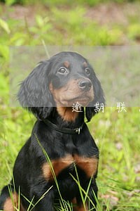 逾期联系当地居委会 逾期联系当地居委会
