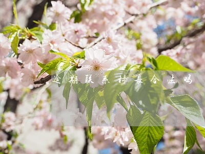逾期联系村长合法吗 逾期联系村长合法吗