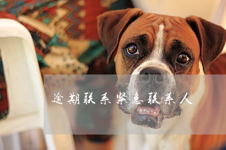 逾期联系紧急联系人 逾期联系紧急联系人