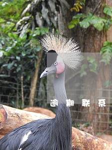 逾期联系通讯录里的电话 逾期联系通讯录里的电话