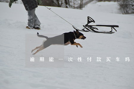 逾期能一次性付款买车吗 逾期能一次性付款买车吗