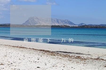 逾期能下一万的 逾期能下一万的