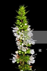 逾期能下口子 逾期能下口子