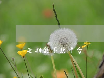 逾期能下款平台 逾期能下款平台