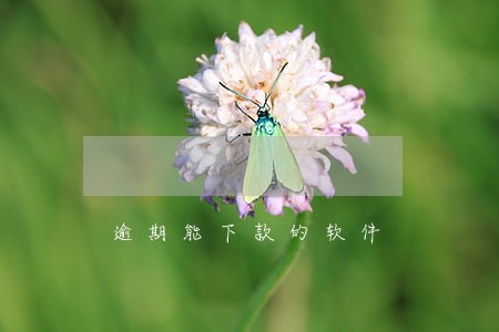 逾期能下款的软件 逾期能下款的软件
