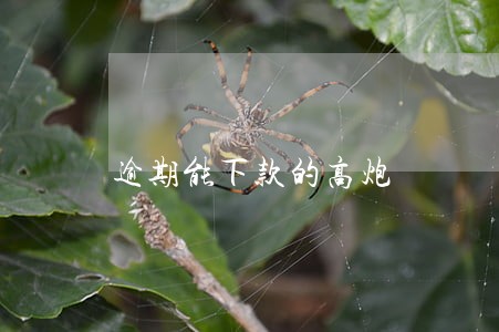 逾期能下款的高炮 逾期能下款的高炮