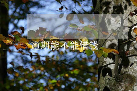 逾期能不能借钱 逾期能不能借钱