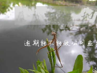 逾期能不能做公司监事 逾期能不能做公司监事