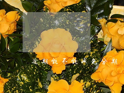 逾期能不能减免分期 逾期能不能减免分期