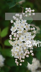 逾期能不能办理住房贷款