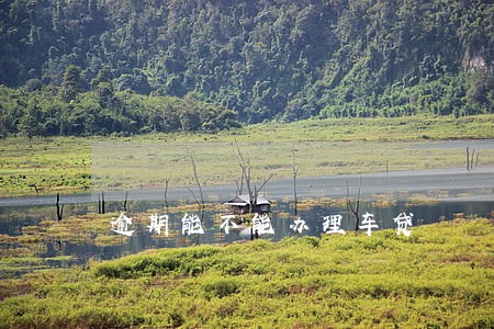逾期能不能办理车贷