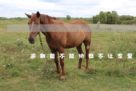 逾期能不能协商不让家里人知道 逾期能不能协商不让家里人知道